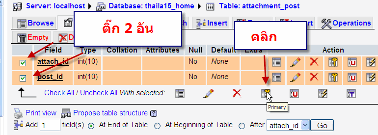 การทำ primary key 2 ฟิลด์