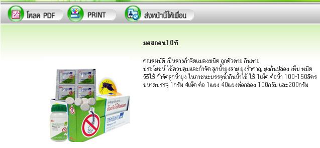 รูปแสดง