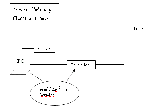 แฟพยฟพา