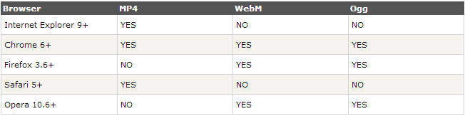 HTML5 Video Format