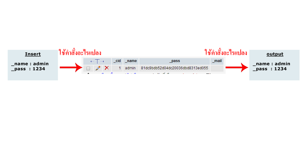 insert และ output ผ่านการแปลงรหส